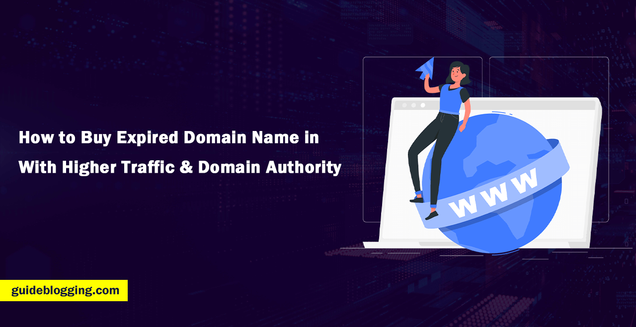 How to Buy Expired Domain Name in With Higher Traffic & Domain Authority