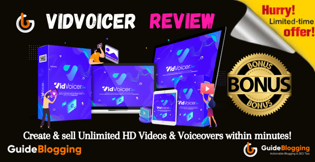 vidvoicer-review